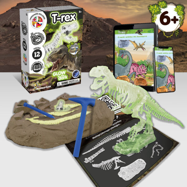 Fossil Excavation Kit I. Jeu éducatif pour enfants – Image 3