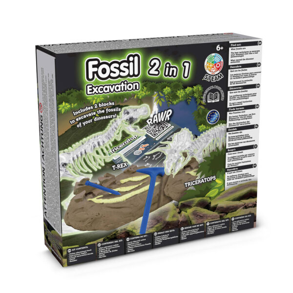 2 in 1 Fossil Excavation Kit I. Jeu éducatif pour enfants – Image 2