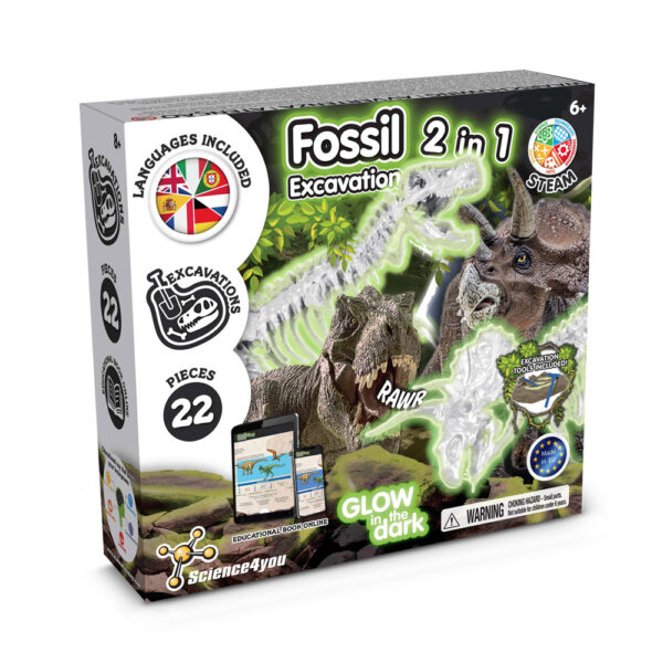 2 in 1 Fossil Excavation Kit I. Jeu éducatif pour enfants