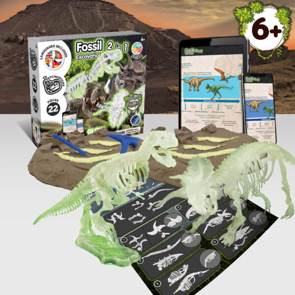 2 in 1 Fossil Excavation Kit II. Jeu éducatif livré avec un sac cadeau en papier kraft (90 g/m²), fabriqué à partir de matériaux certifiés fsc™ et d'autres matériaux certifiés – Image 3