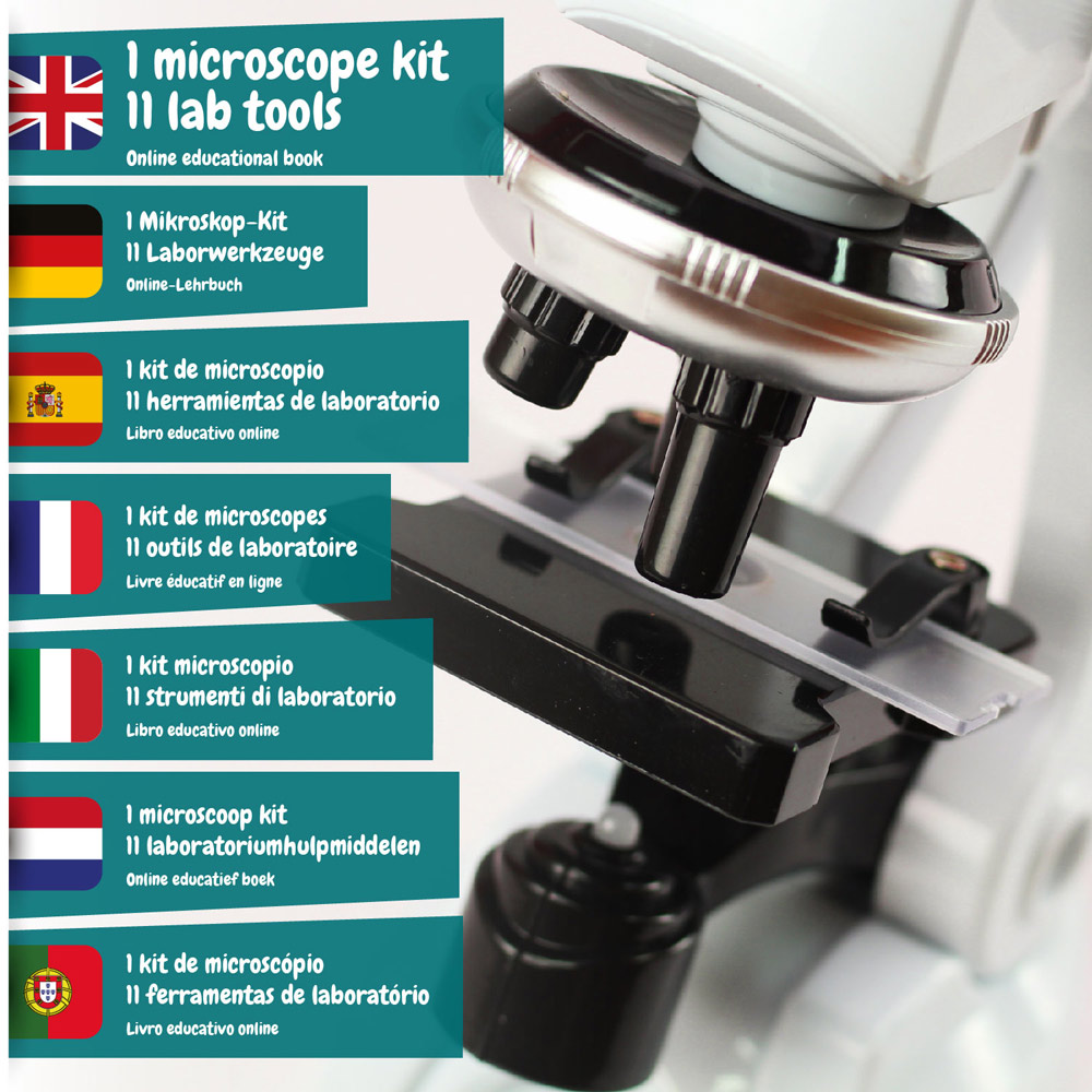 MICROSCOPE. Jeu éducatif pour les enfants – Image 2